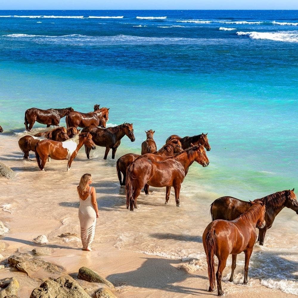 NIHI Sumba — Indonesia, Asia