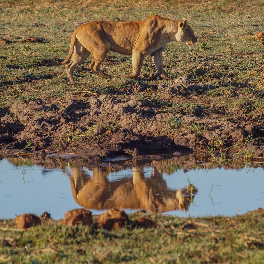 Okavango Delta — Botswana, Africa