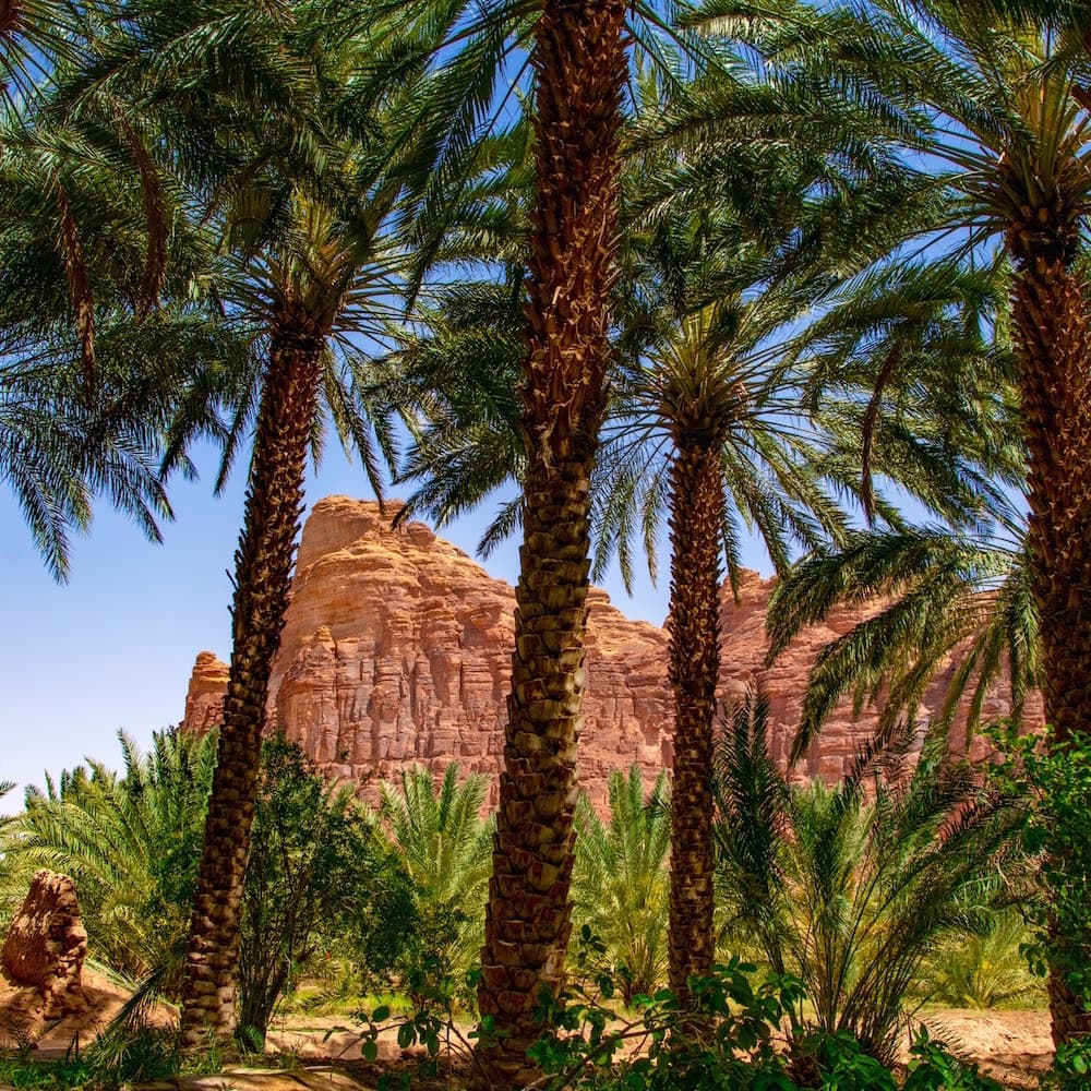 AlUla — 