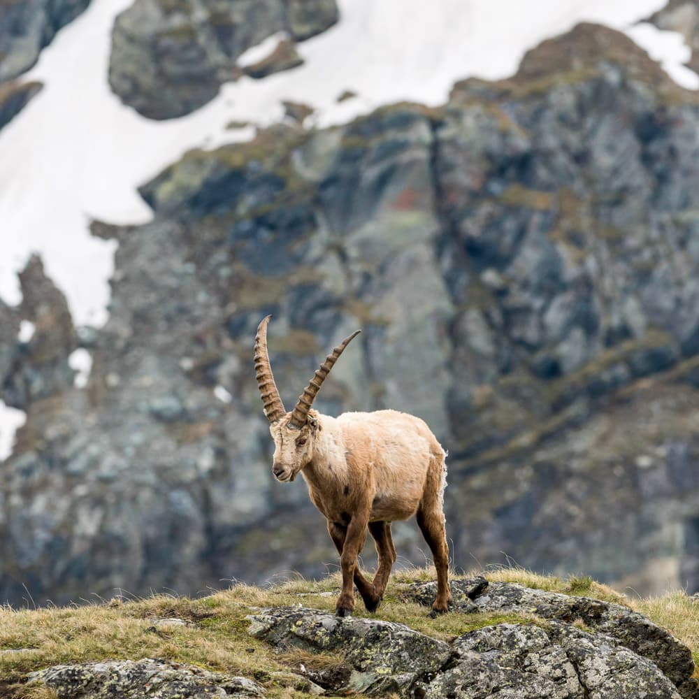 Hohe Tauern National Park — 