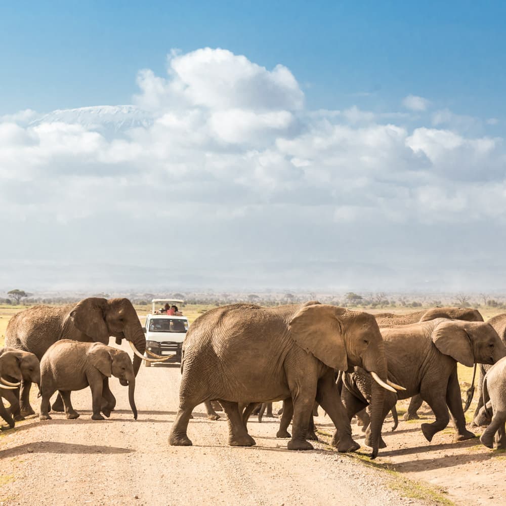 Amboseli National Park — Kenya, Africa
