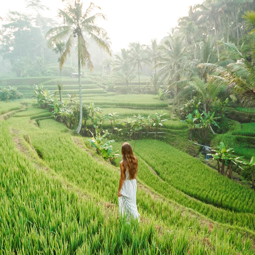 Ubud — 