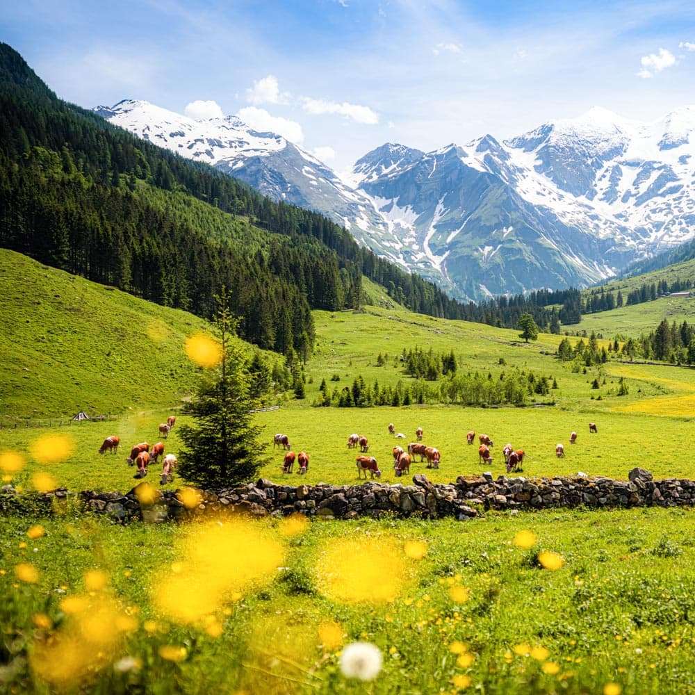 Hohe Tauern National Park — 