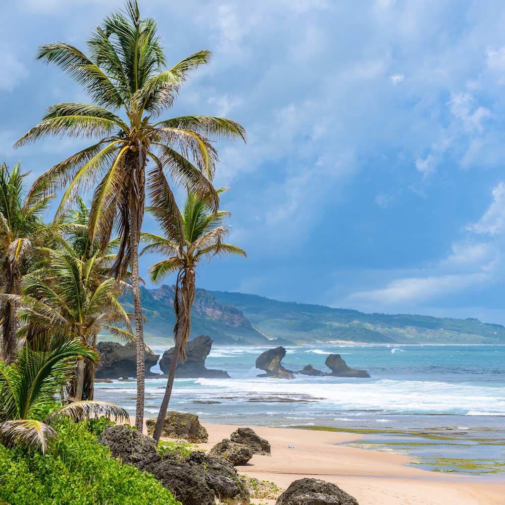 Bathsheba — Barbados, Caribbean