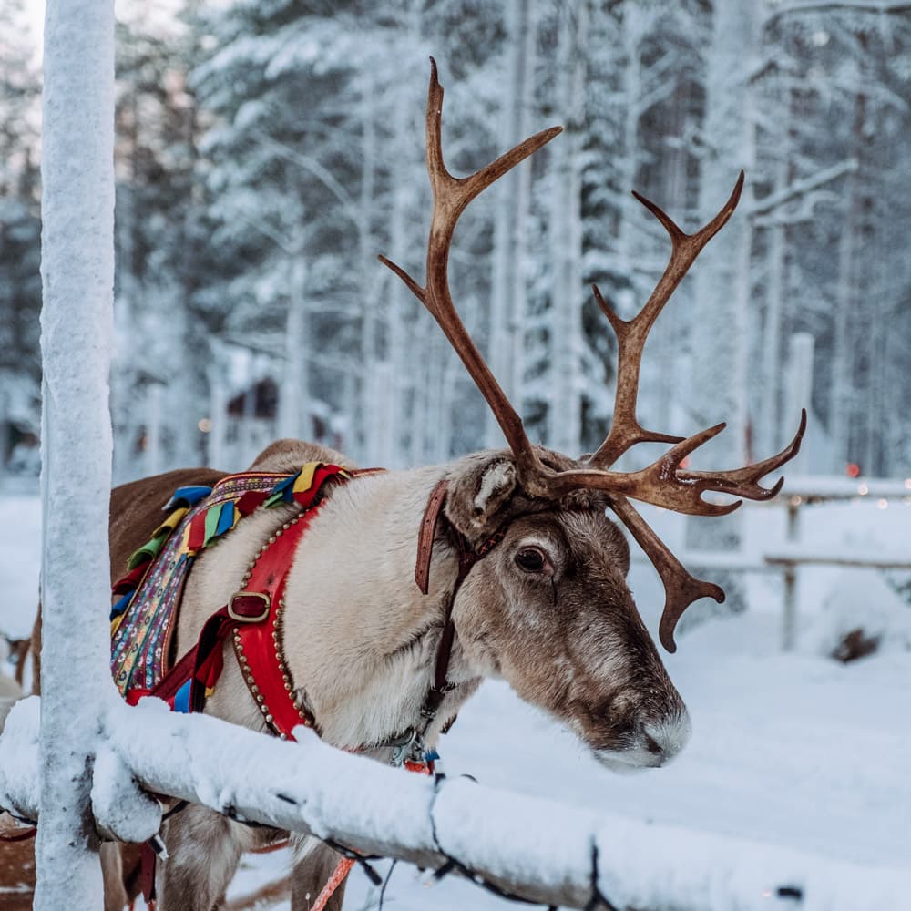 Santa Claus Village — 