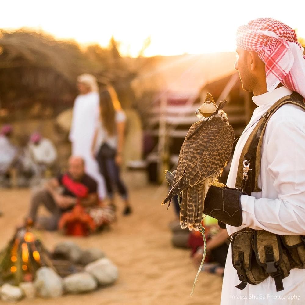 Dubai Desert Safaris — 
