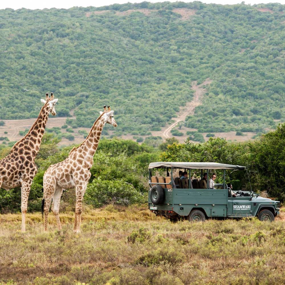 Shamwari Game Reserve — South Africa, Africa