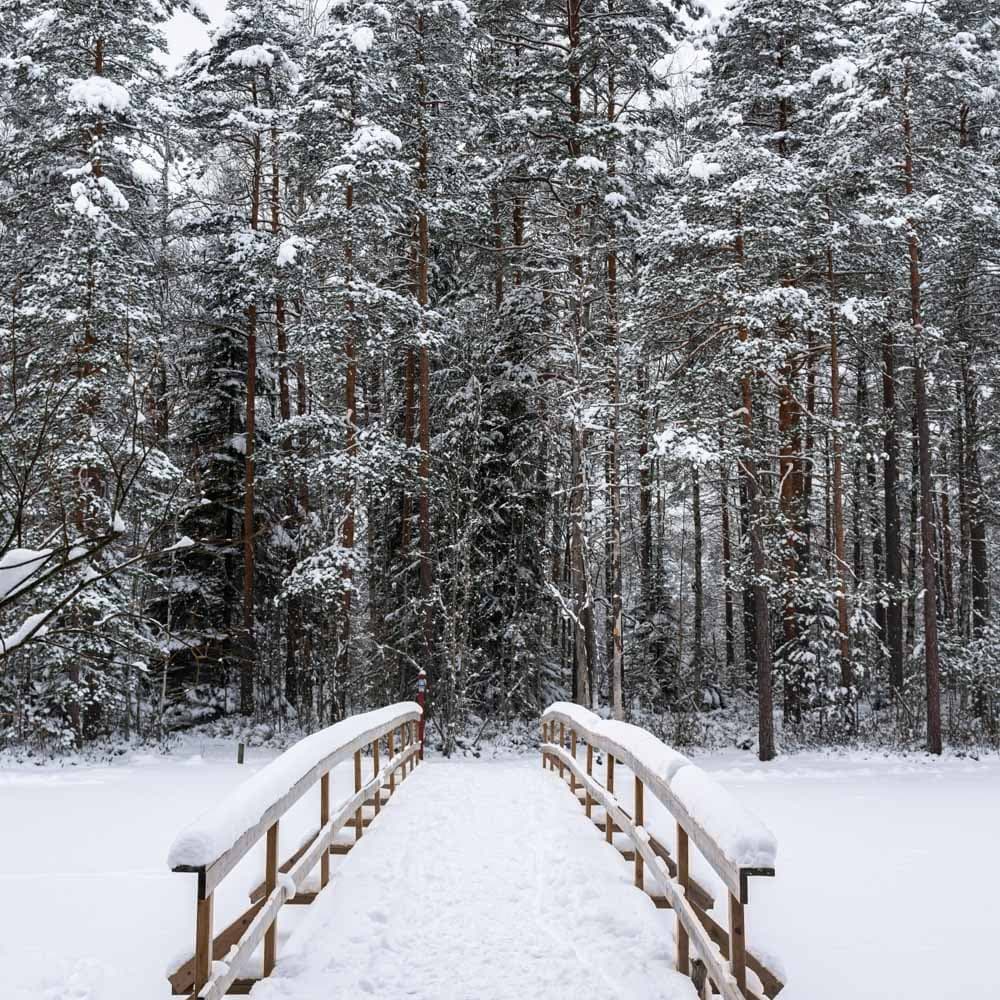 Nuuksio National Park — 