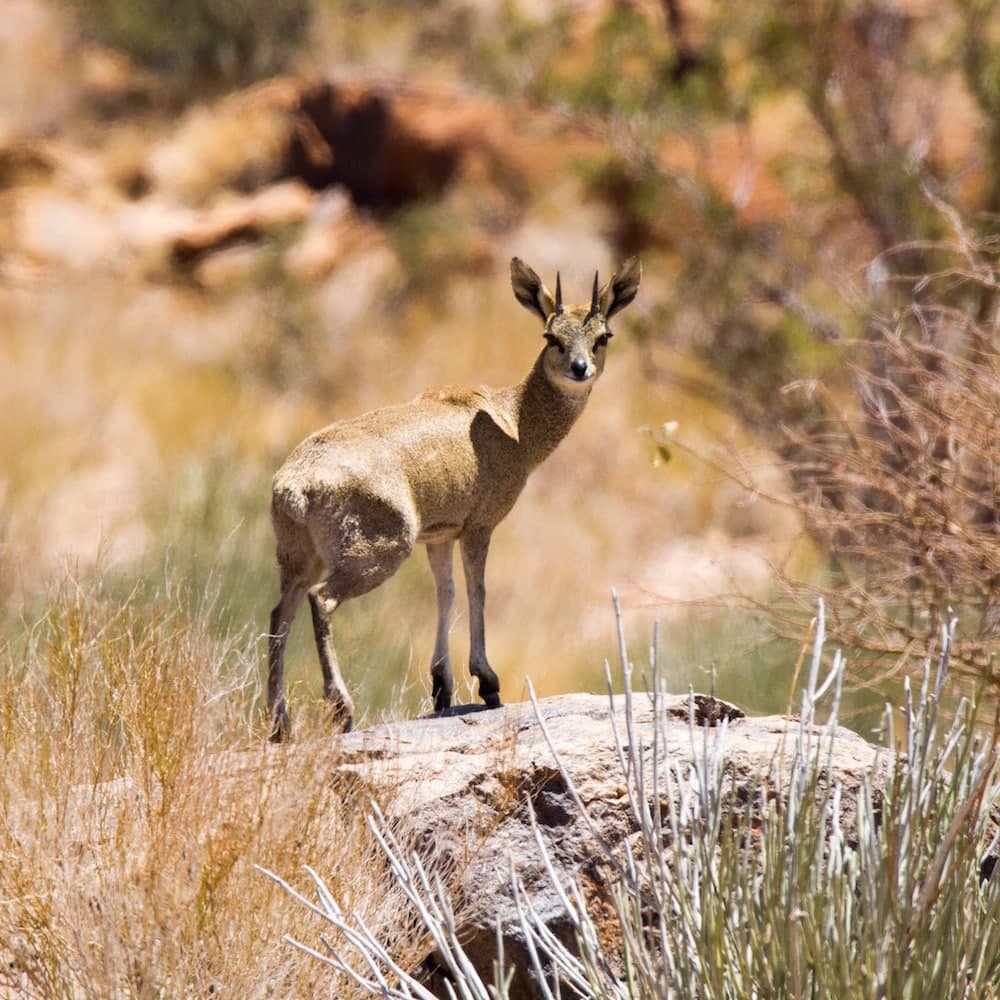 Augrabies Falls National Park — 