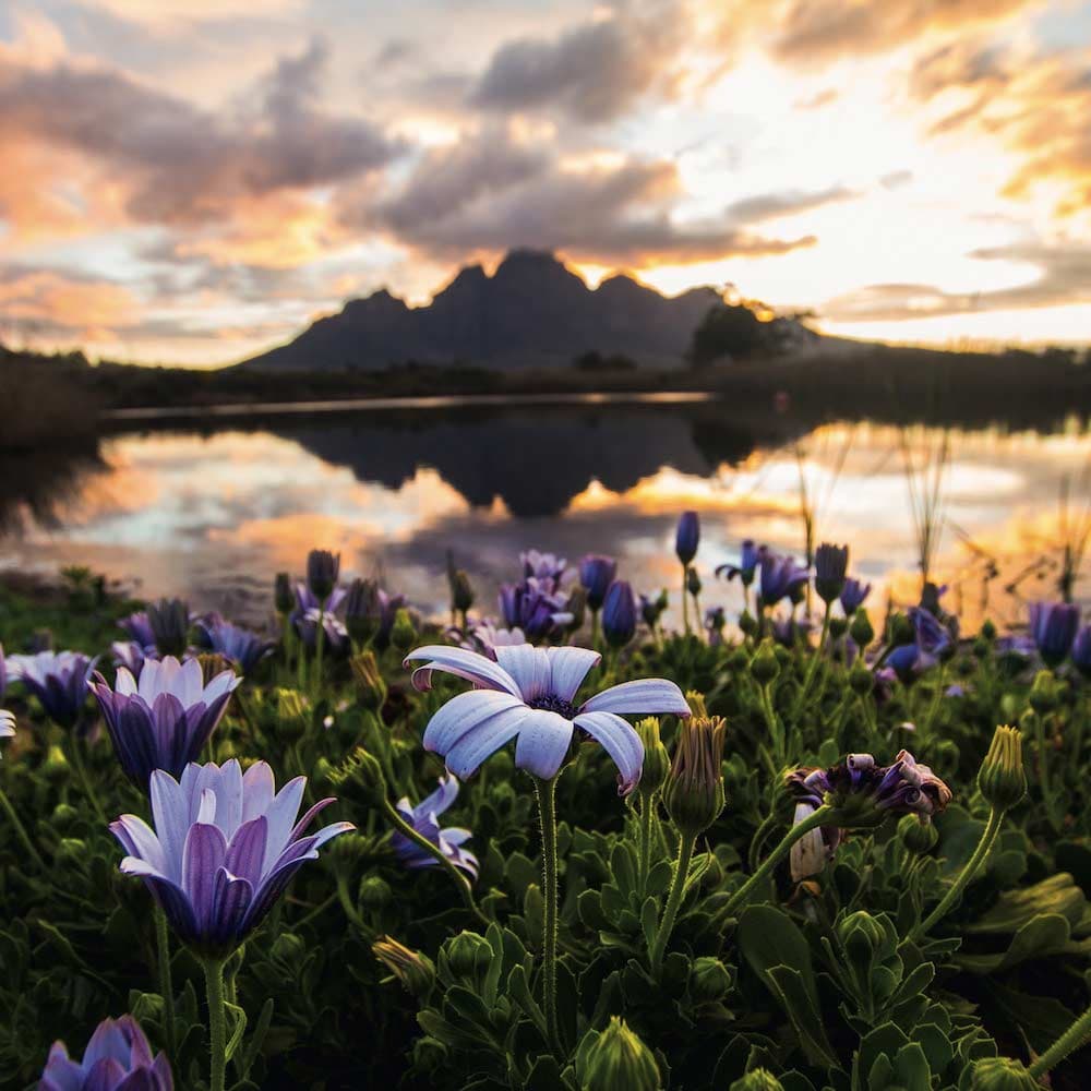 Franschhoek — 
