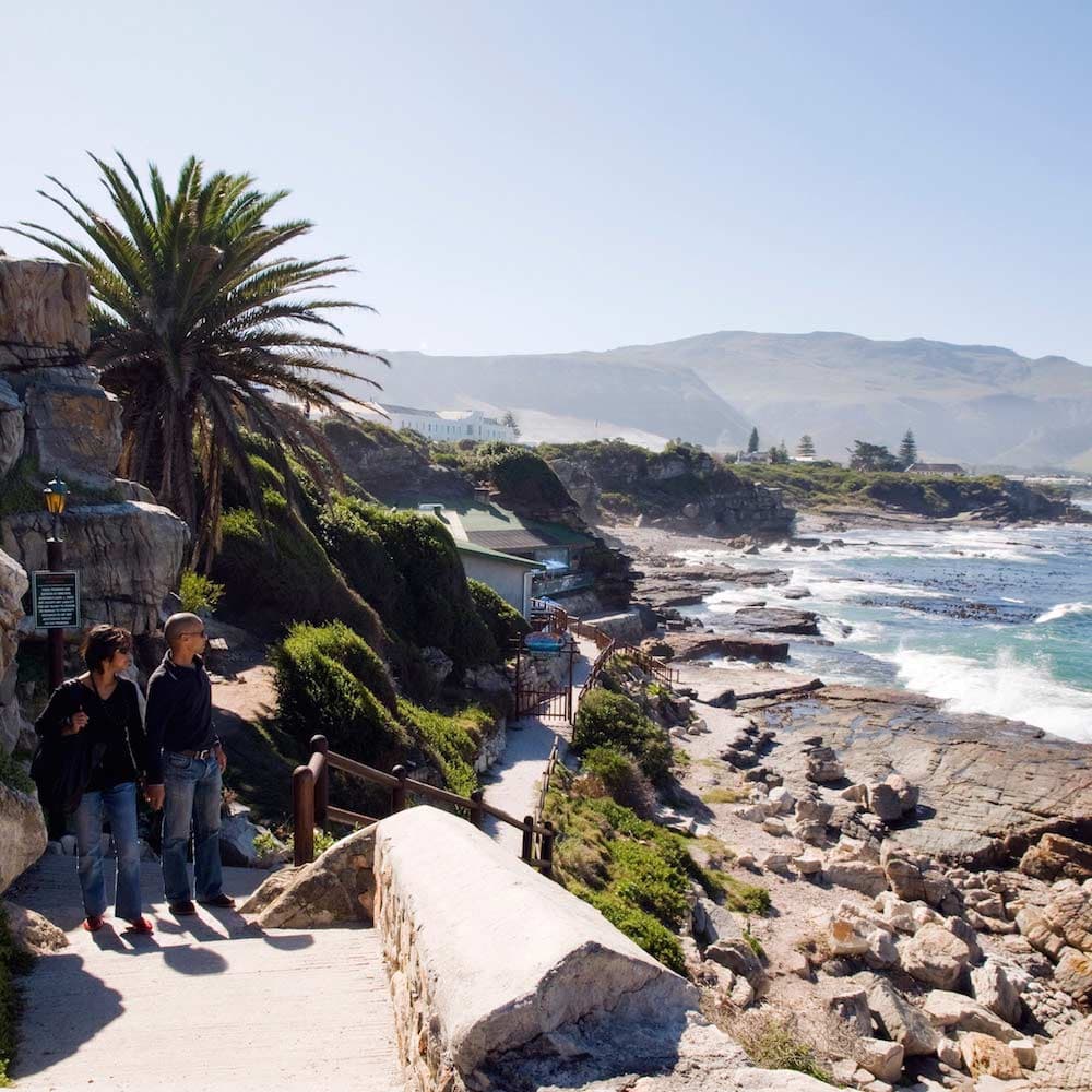 Hermanus — 