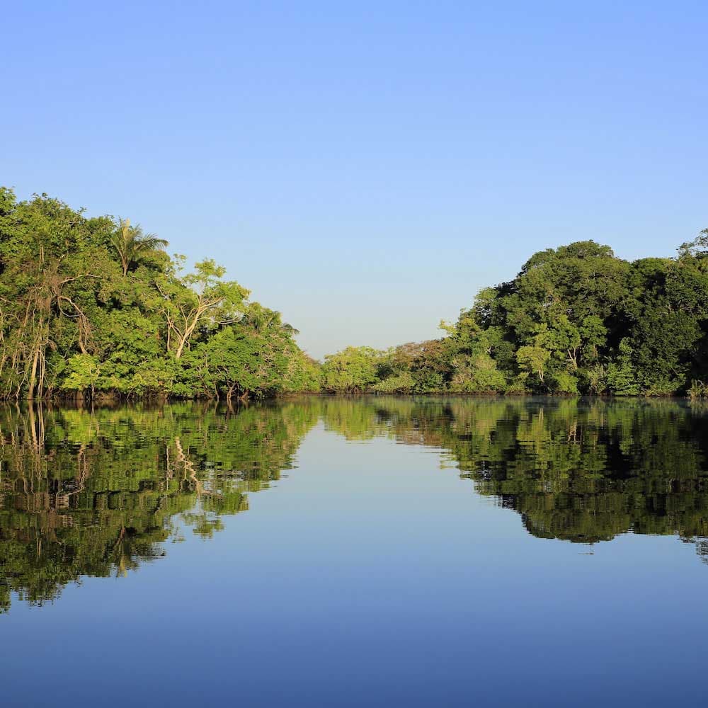 The Amazon — Brazil, South America