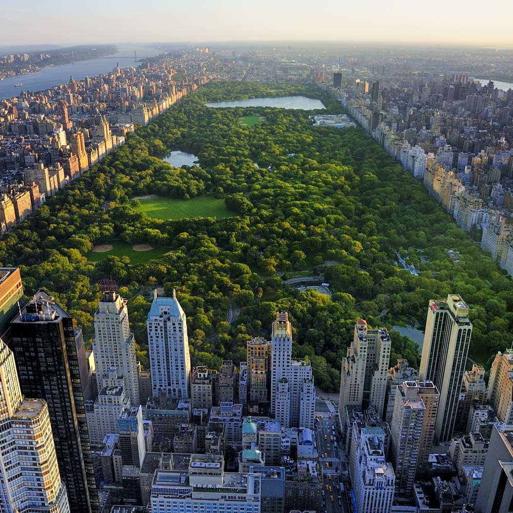 Central Park — New York City, New York, United States, North America