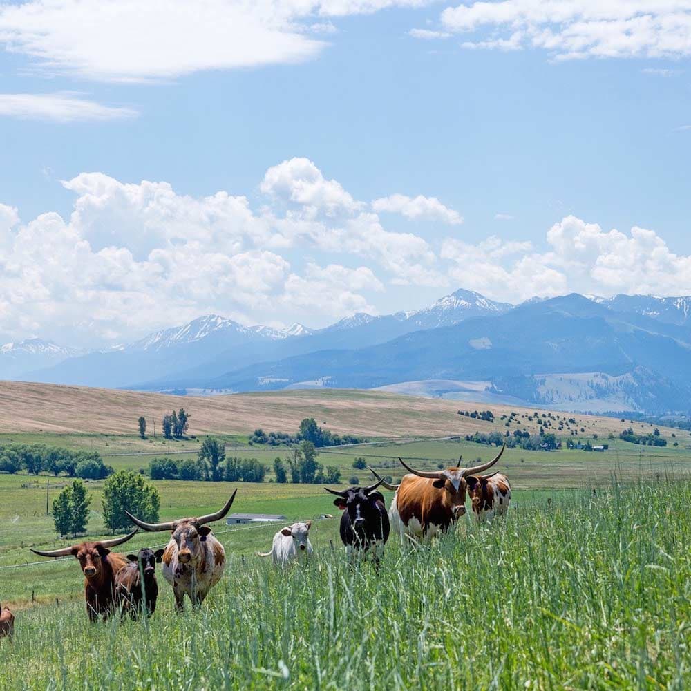 Lostine, Oregon — 