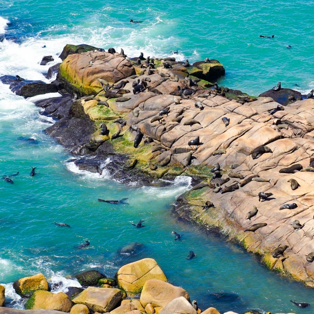 Cabo Polonio — 