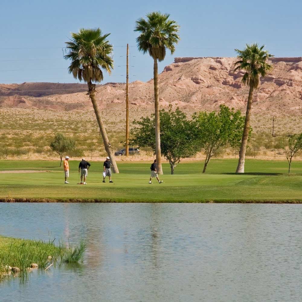 Palms Golf Club, Mesquite, United States, North America