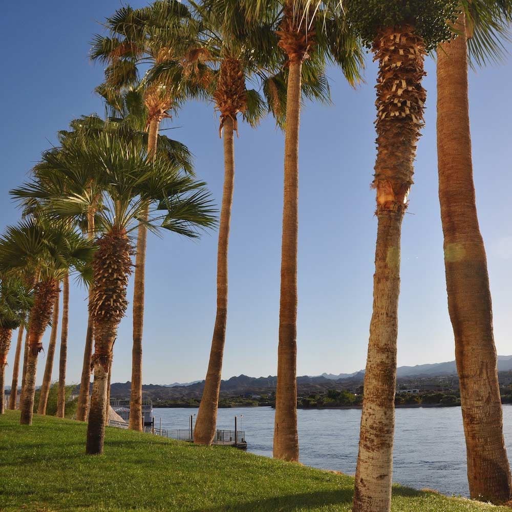 Laughlin — 