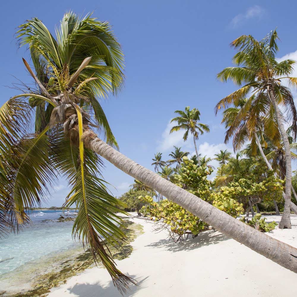 Morrocoy National Park — Venezuela, South America