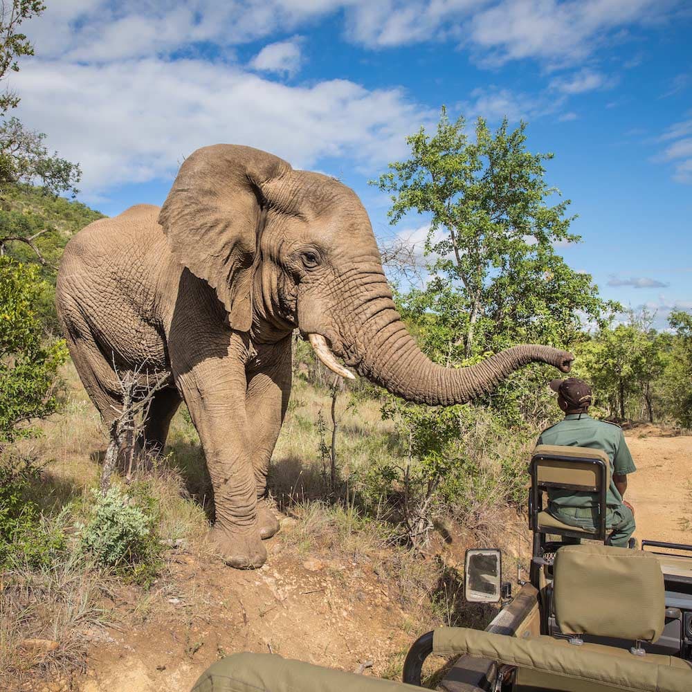 Kruger National Park — 