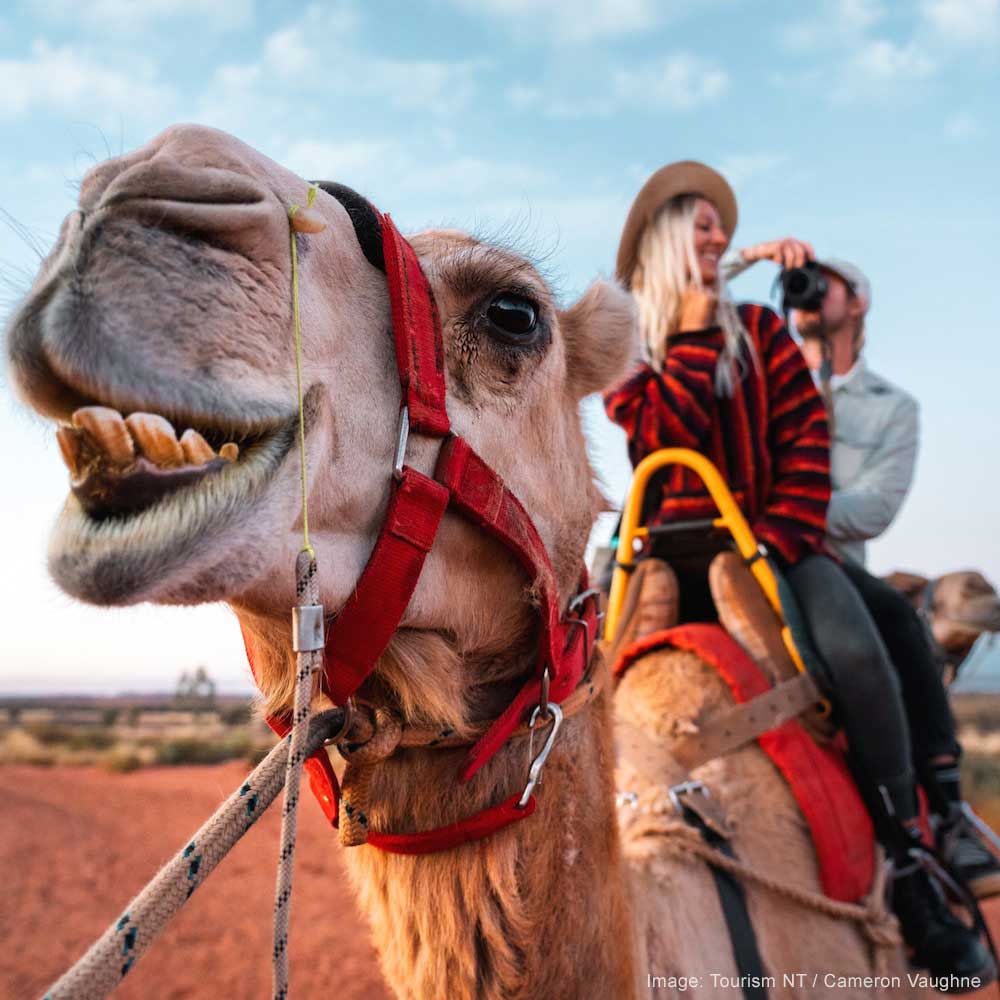 Uluru Camel Tours — Alice Springs, The NT, Australia, Oceania