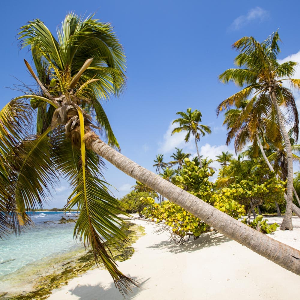 Morrocoy National Park — 