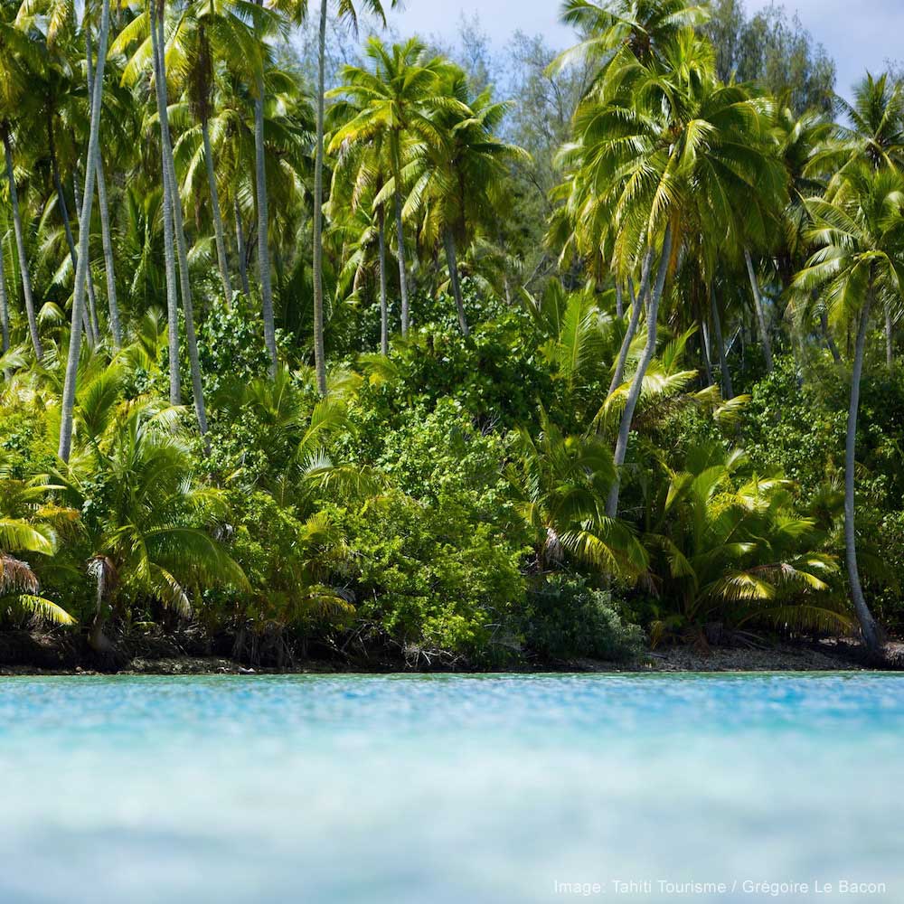 Mo'orea Lagoon — 