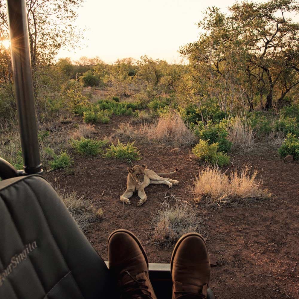 Kruger National Park — 