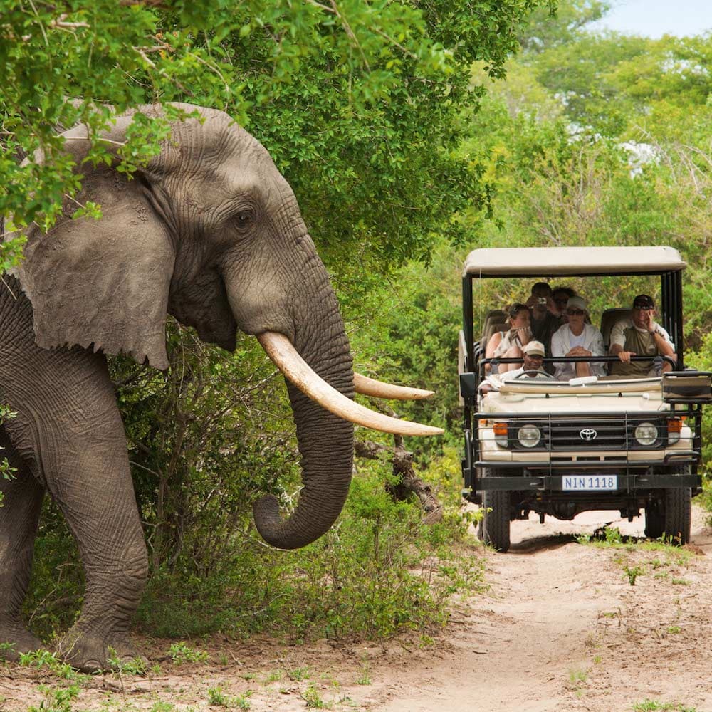 Kruger National Park — 