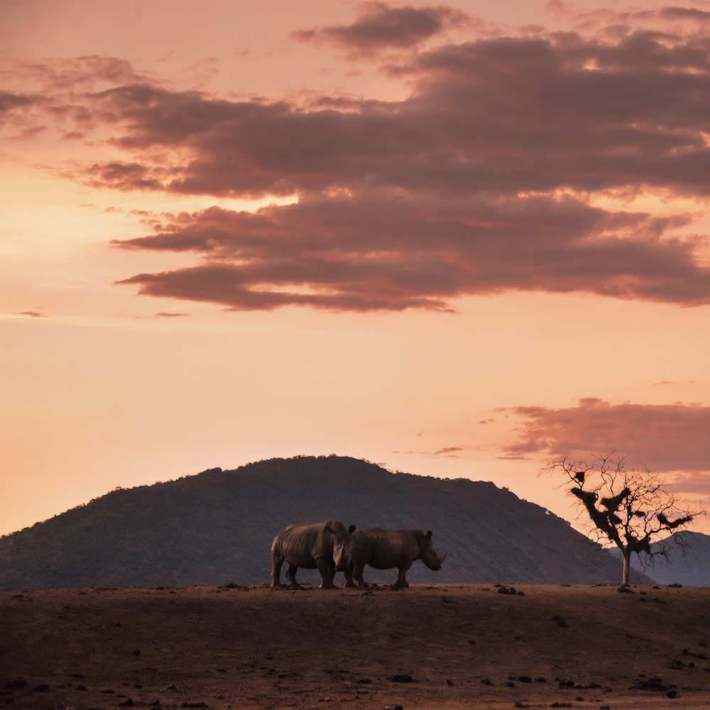 Kruger National Park — 