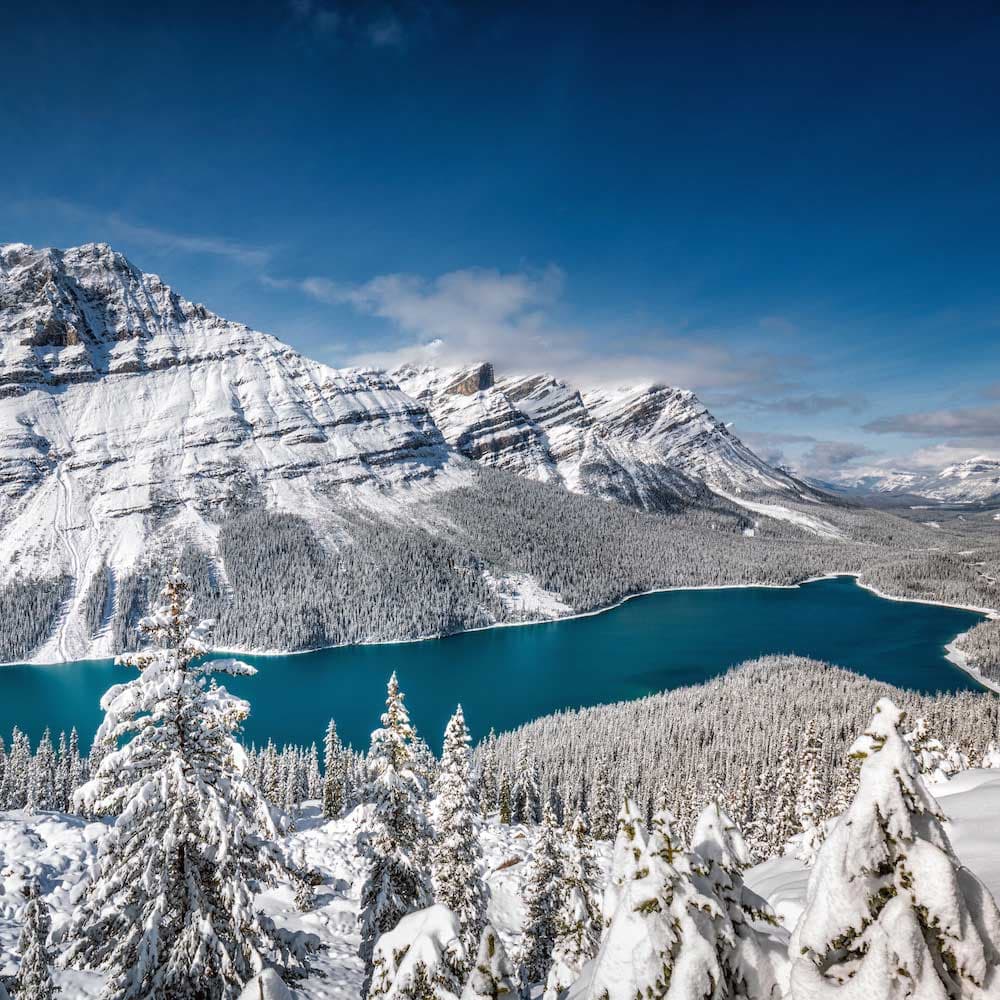 Peyto Lake — Canada, North America