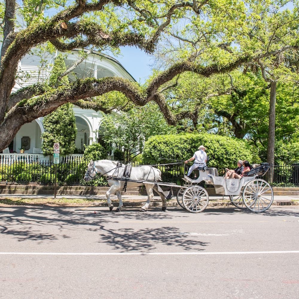 Charleston Carriage Tours — 