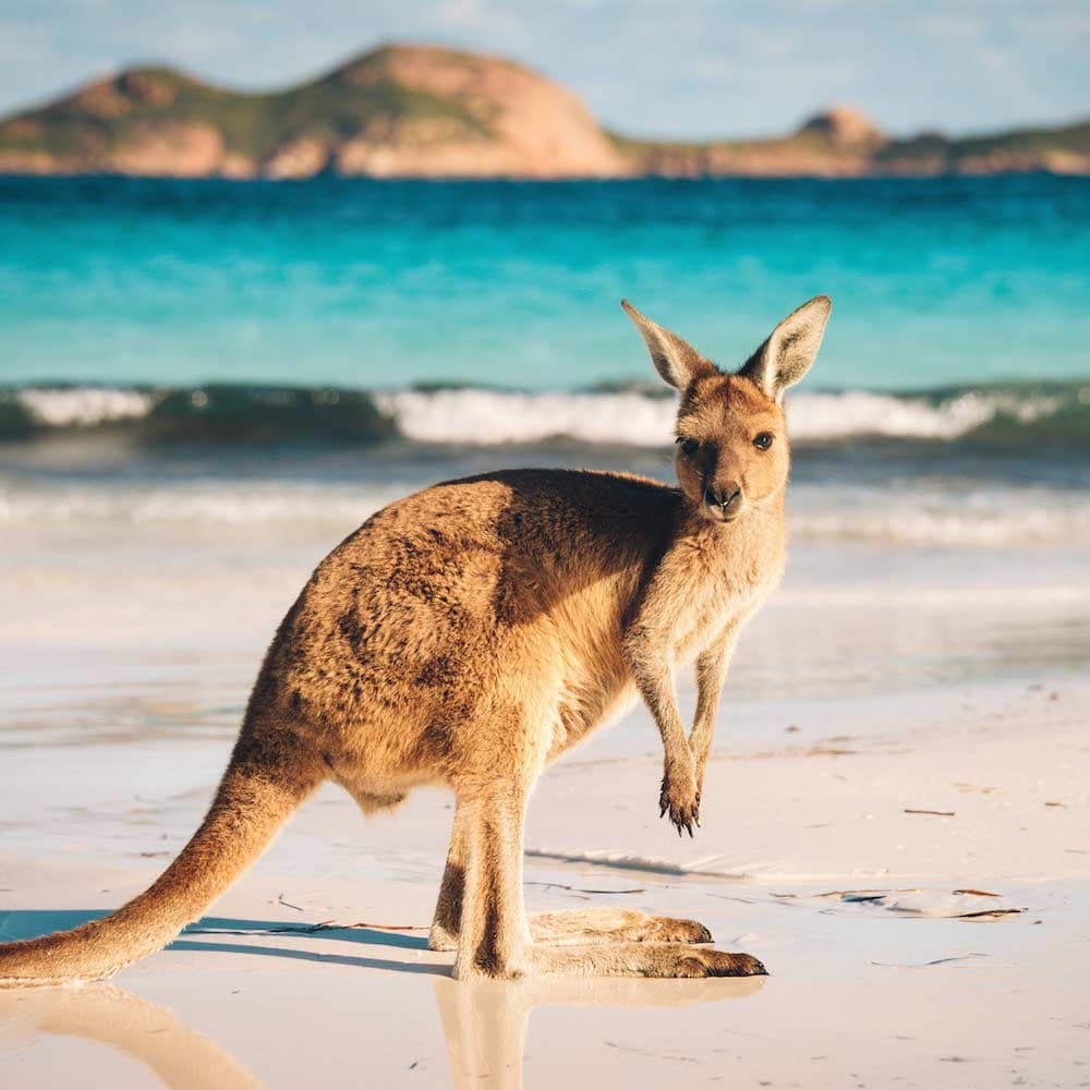 Lucky Bay — Western Australia, Australia, Oceania