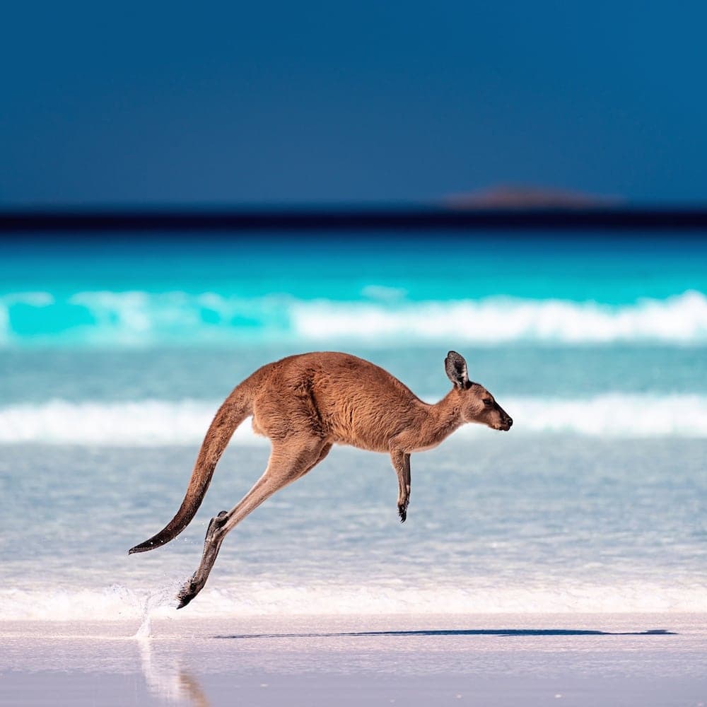 Lucky Bay — 