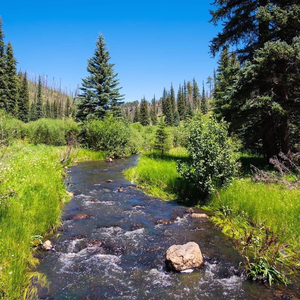 Greer — Arizona, United States, North America