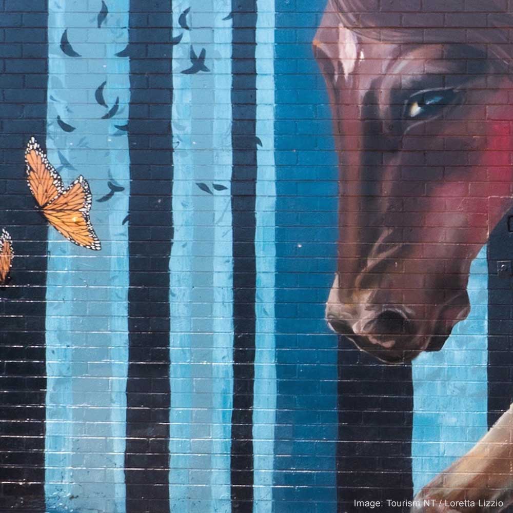 Darwin Street Art — 