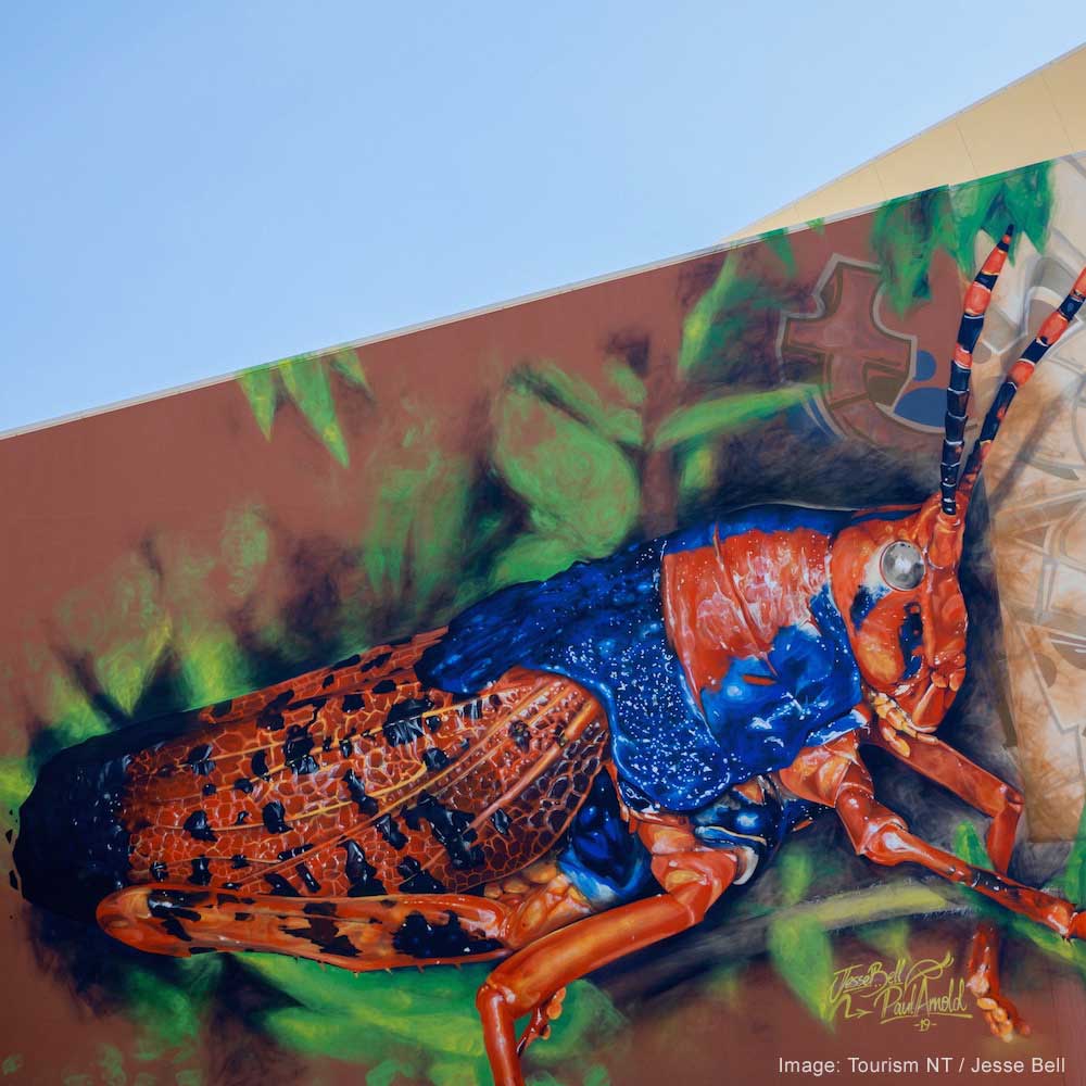 Darwin Street Art — 