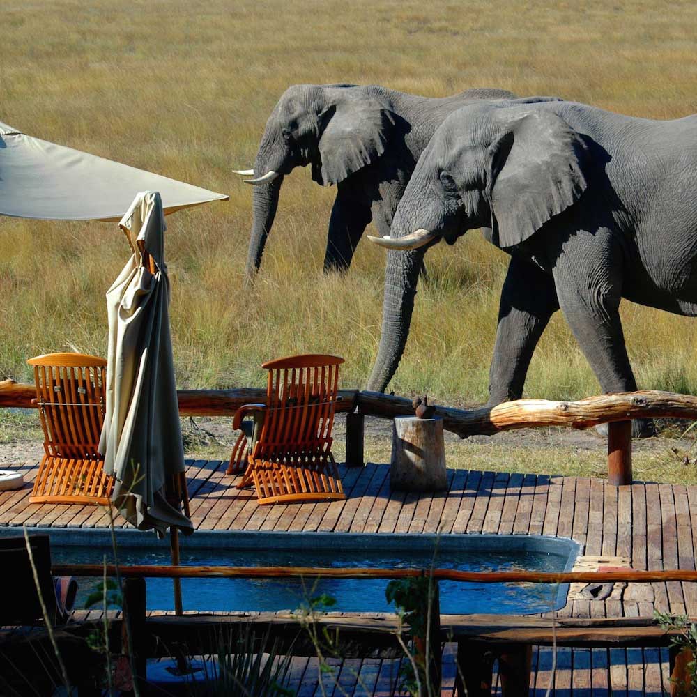 Jao Concession — Botswana, Africa
