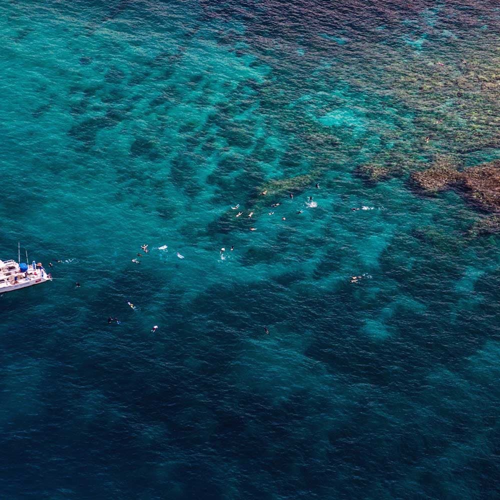 Maui Reef — Hawaii, United States, North America