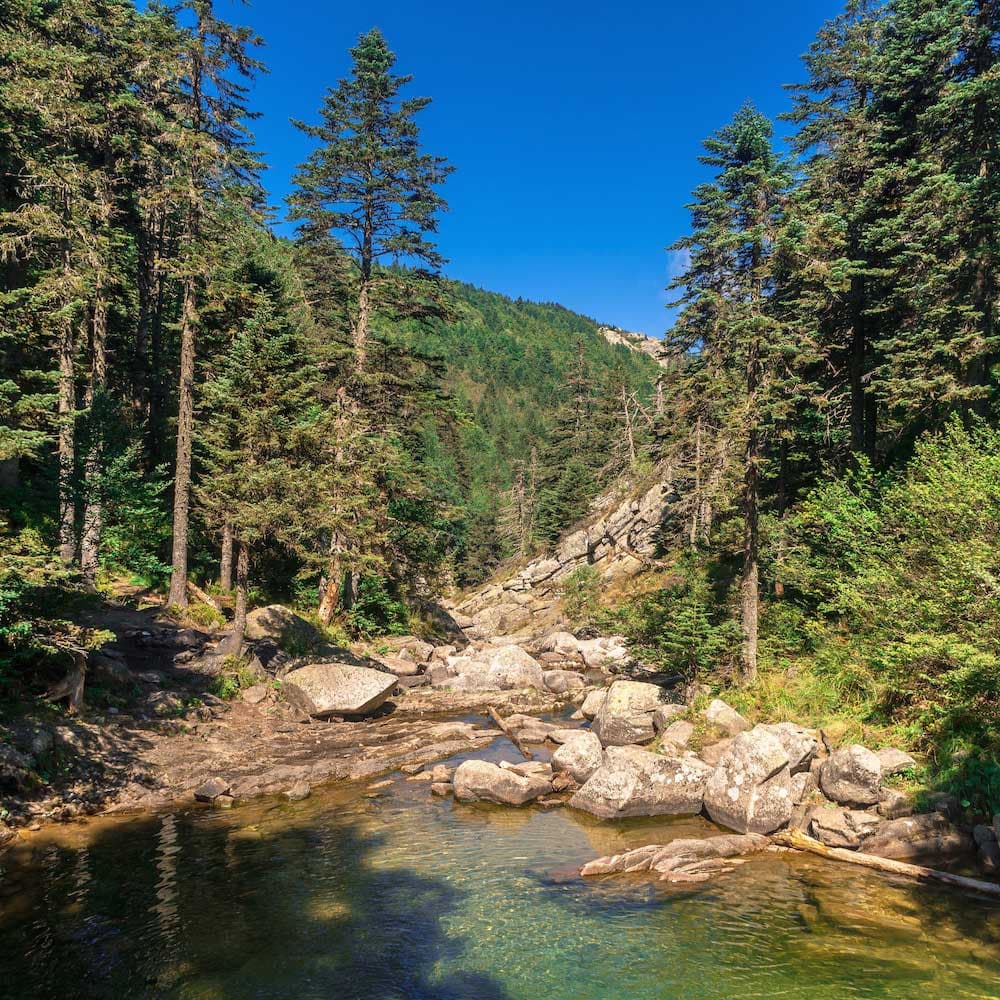 Uludag National Park — 
