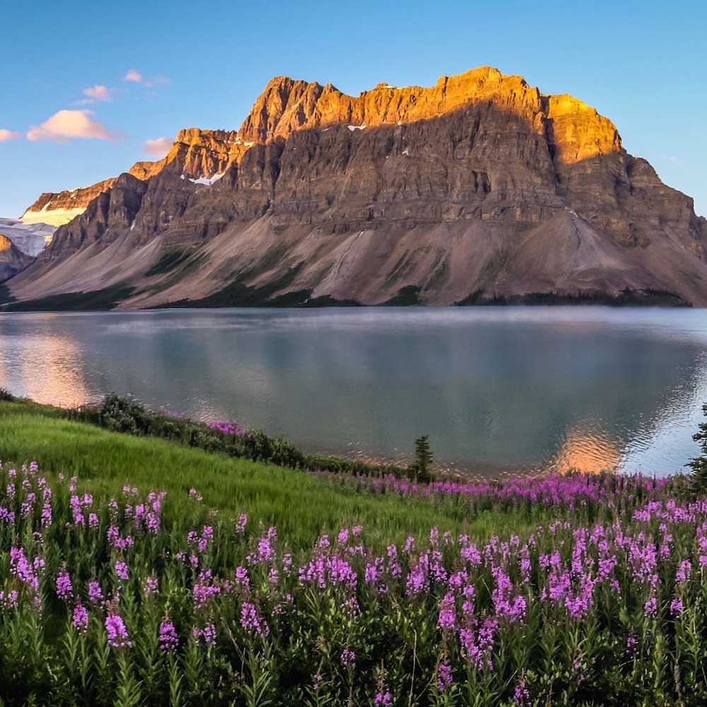 Bow Lake — Canada, North America
