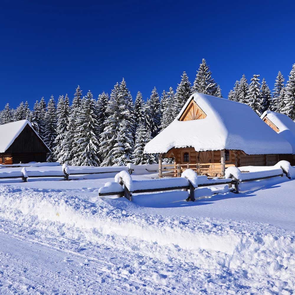 Chochołowska Valley — Poland, Eastern Europe