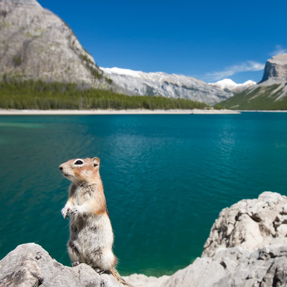 Lake Minnewanka — Canada, North America