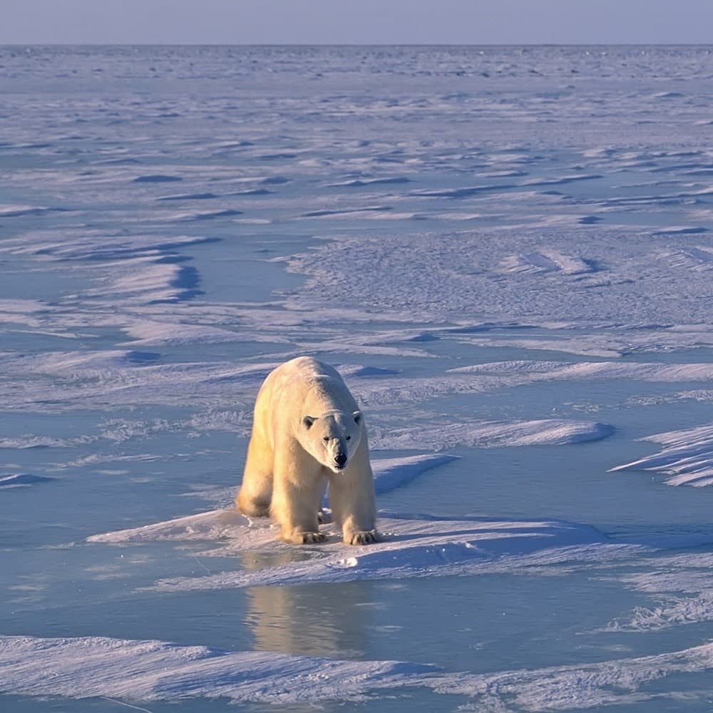 Hudson Bay — Canada, North America