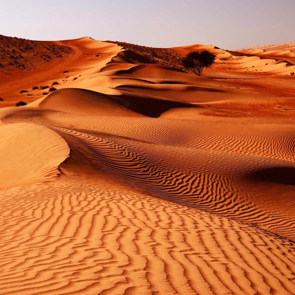 Wahiba Sands — 