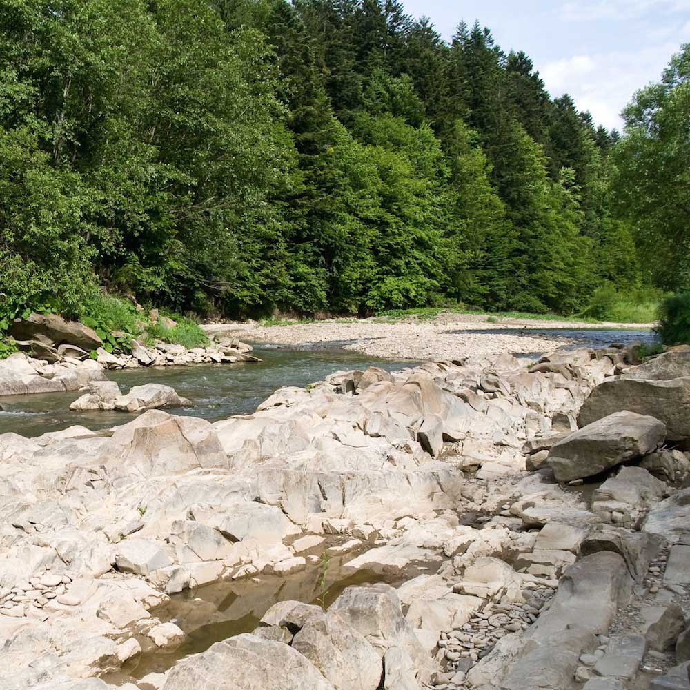 Sine Wiry Reserve — Poland, Eastern Europe