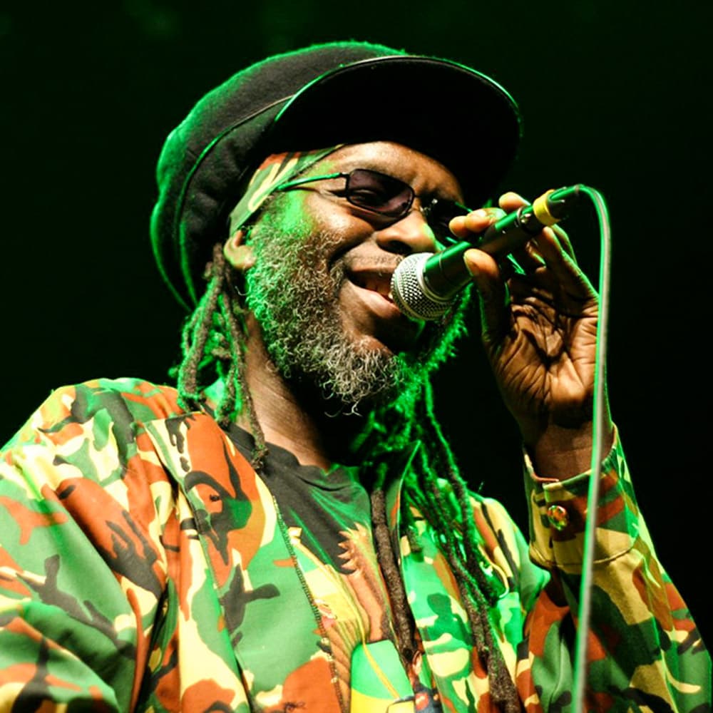 Rainforest World Music Festival — 