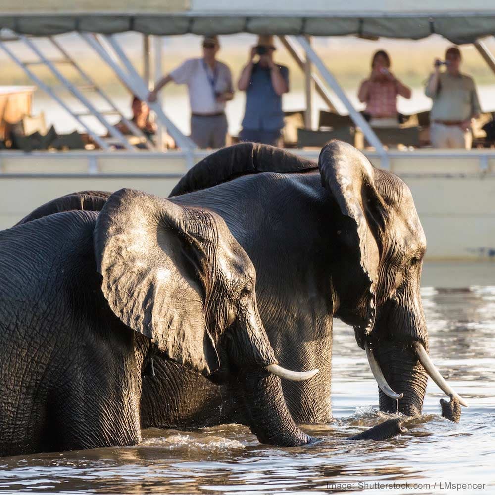 Chobe River — Botswana, Africa
