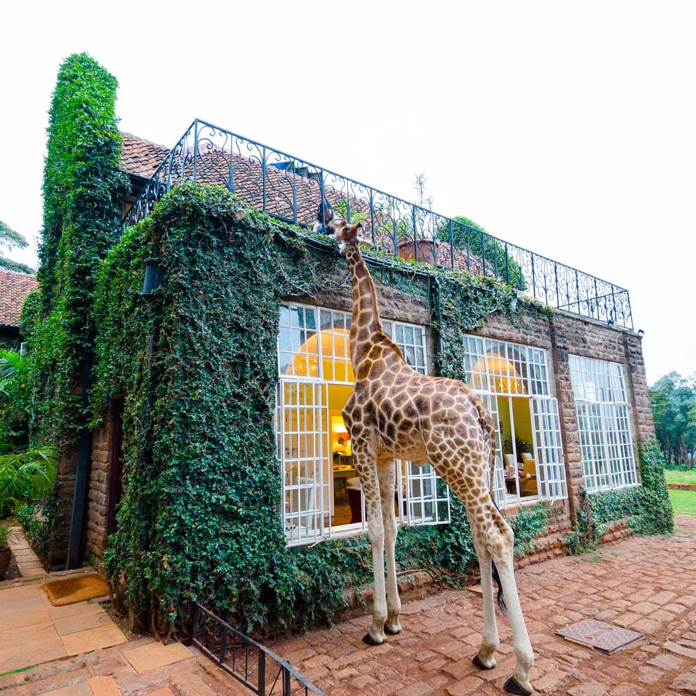 Giraffe Manor, Nairobi — 
