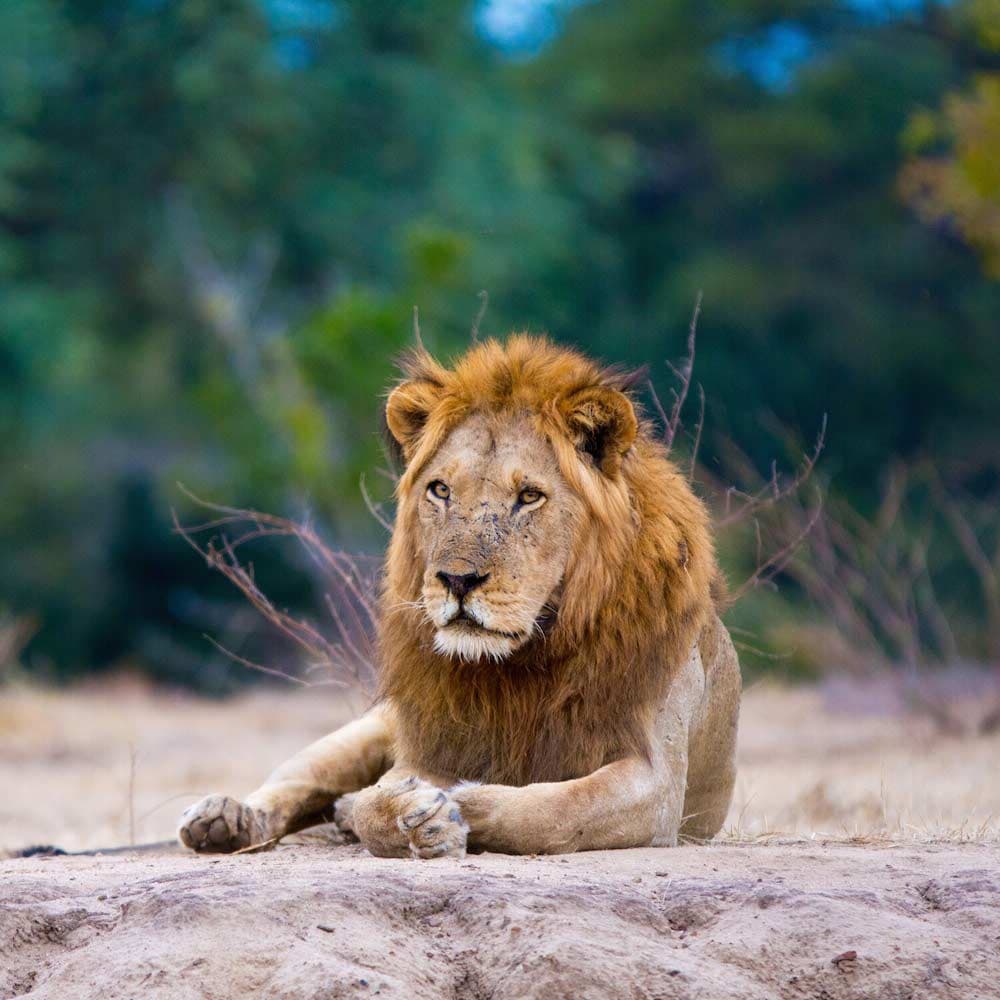 Lower Zambezi National Park — 