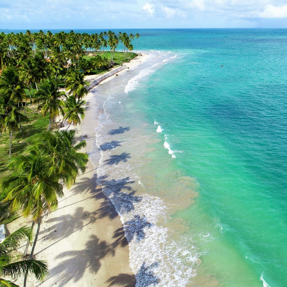 Carneiros Beach — 